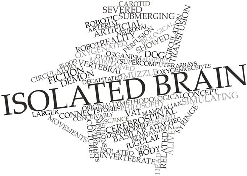 Word cloud for Isolated brain