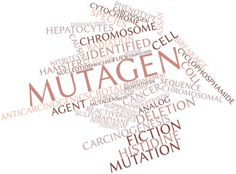 Word cloud for Mutagen