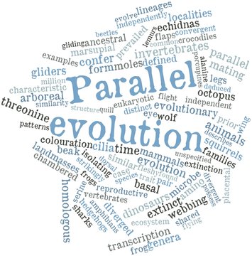 Word cloud for Parallel evolution