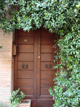 Door decorated with green voluble plants