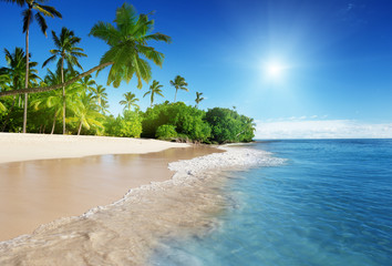 caribbean sea and palms - obrazy, fototapety, plakaty