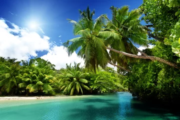 Photo sur Plexiglas Été lac et palmiers, île de Mahé, Seychelles