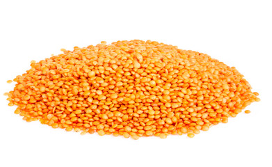 red lentils isolated on white