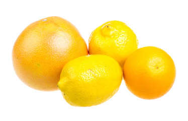 Fruits citrus