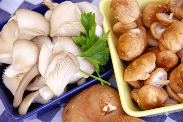 Chi take and oyster mushrooms in a bowl