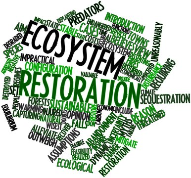 Word cloud for Ecosystem restoration