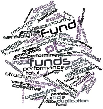 Word cloud for Fund of funds