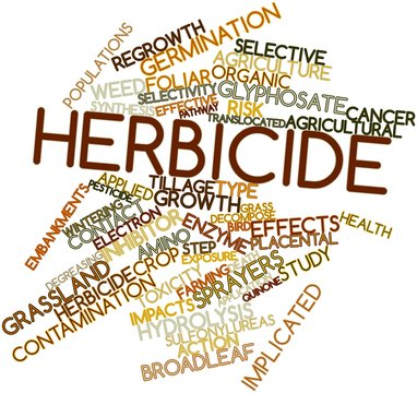 Word cloud for Herbicide