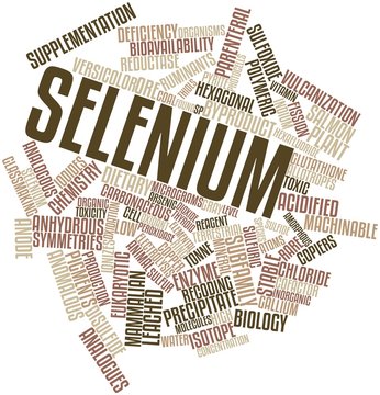 Word cloud for Selenium