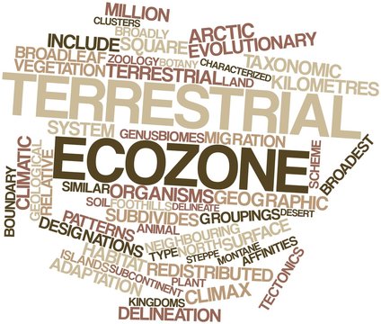 Word cloud for Terrestrial ecozone
