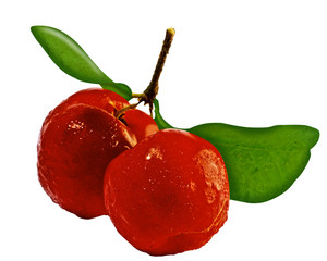 Acerola