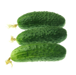 Fresh cucumber with yellow flower