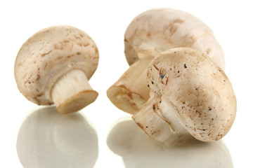 Fresh mushrooms isolated on white