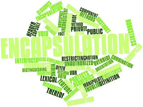 Word Cloud For Encapsulation