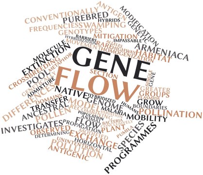 Word cloud for Gene flow