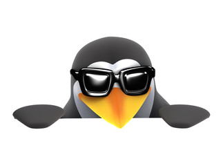 3d Penguin in sunglasses peeps over a blank page