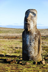 Standing moai in Easter Island