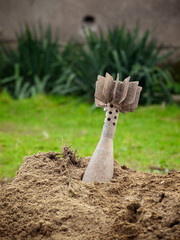Unexploded grenade