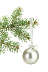 Christmas ball on fir tree, isolated on white