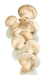 Fresh mushrooms isolated on white