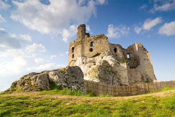 Fototapeta na wymiar Ruiny średniowiecznego zamku Mirów w Polsce
