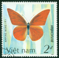Fototapeta na wymiar stamp printed by VIETNAM shows butterfly
