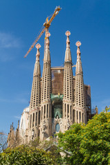 Fototapeta na wymiar BARCELONA, SPAIN -JUNE 25: Sagrada Familia on JUNE 25, 2012: La