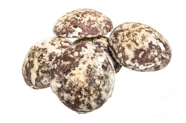 cookies isolated on white background