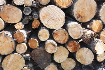 R&eacute;serve de bois