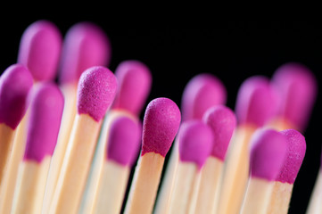 Close-up of new lilac matches against a black background