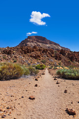 Fototapeta na wymiar Wulkan Teide w Teneryfa - Wyspy Kanaryjskie