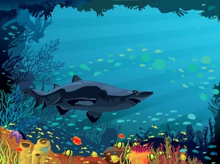 Tableaux ronds sur plexiglas Anti-reflet Sous-marin Récif de corail avec poissons et requins colorés