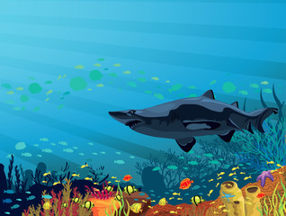Obraz na płótnie Canvas Rafa koralowa z kolorowymi rybami i rekina