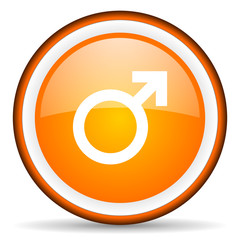 sex orange glossy circle icon on white background