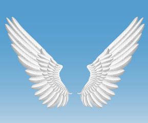 angel wings