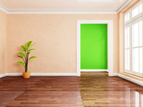 a green plant in the empty room