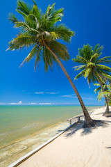 Obraz premium Beautiful tropical beach with coconut palm tree in Thailand