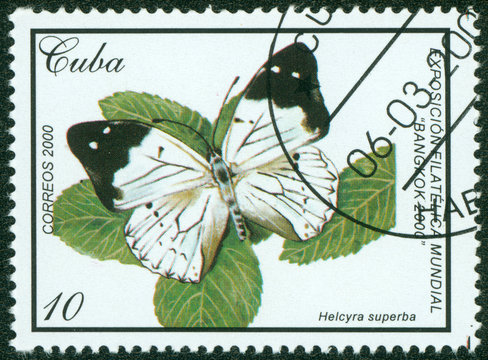 Stamp printed in CUBA shows butterfly