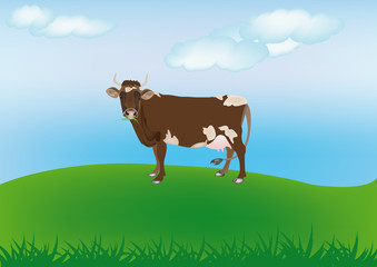 Obraz na płótnie Canvas Dairy cows over spring green meadow.The rural landscape