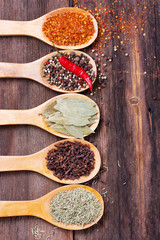 Five kinds of spices in the spoons