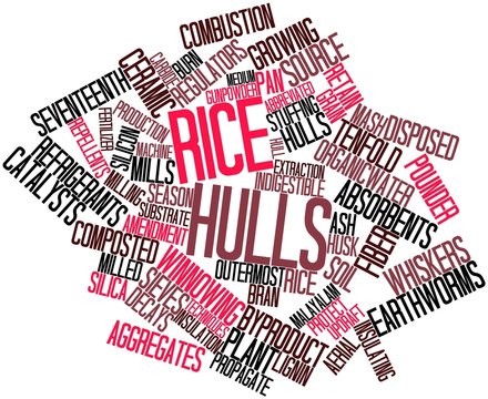 Word cloud for Rice hulls