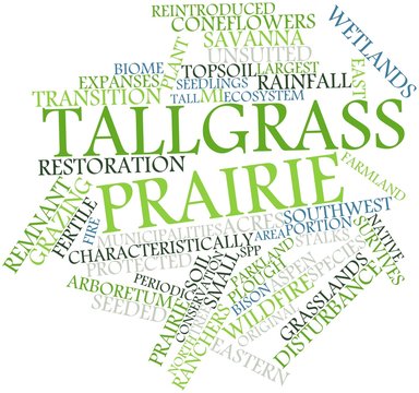 Word cloud for Tallgrass prairie