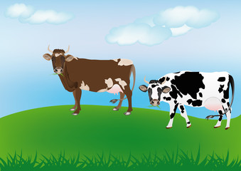 Les vaches laitières au printemps vert prairie.Le paysage rural
