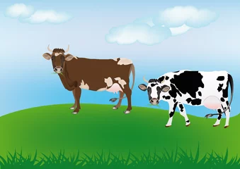 Poster de jardin Ferme Les vaches laitières au printemps vert prairie.Le paysage rural