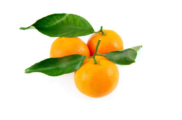 mandarines isolées sur fond blanc