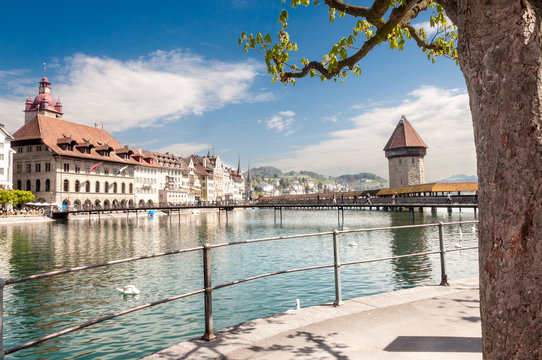 Lucerna