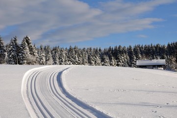 Fototapeta premium Am Rennsteig in Ernstthal
