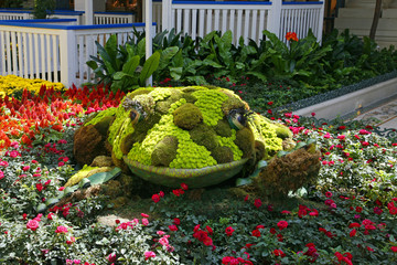 LAS VEGAS - SEPTEMBER 05: Fall season in Bellagio Hotel Conserva © Salvatore