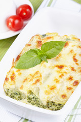 Cannelloni with spinach and ricotta baked in sauce bechamel