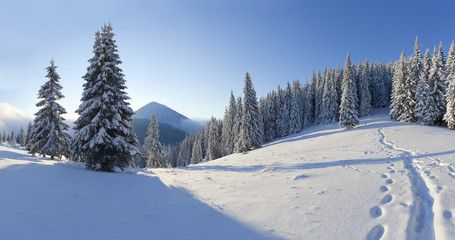 Fototapeta na wymiar Panorama zimowy poranek w górach